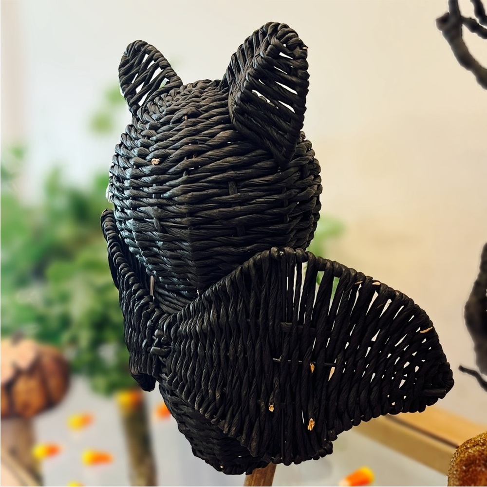 NWT Homegoods Black Woven Wicker Rattan Standing Bat Tabletop Halloween Decor - Picture 13 of 16